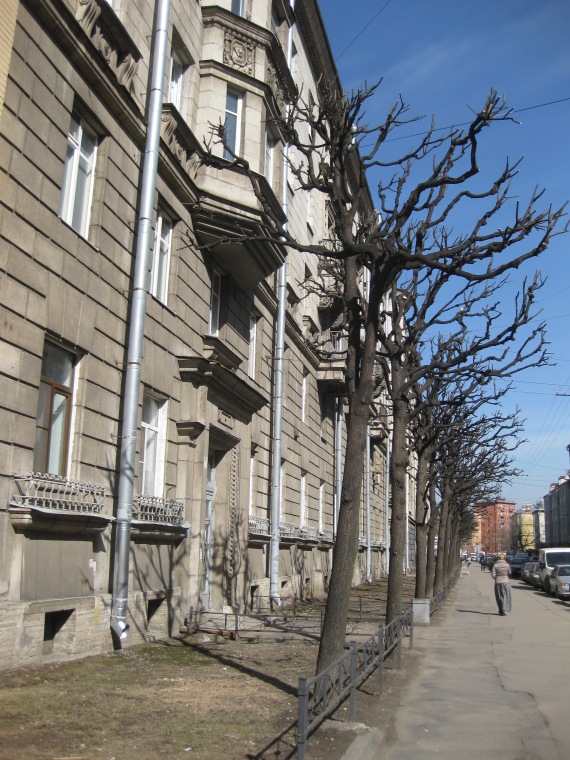 Bolshaya Monetnaya Street